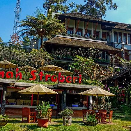 Rumah Stroberi Organic Farm & Family Lodge Lembang Eksteriør billede