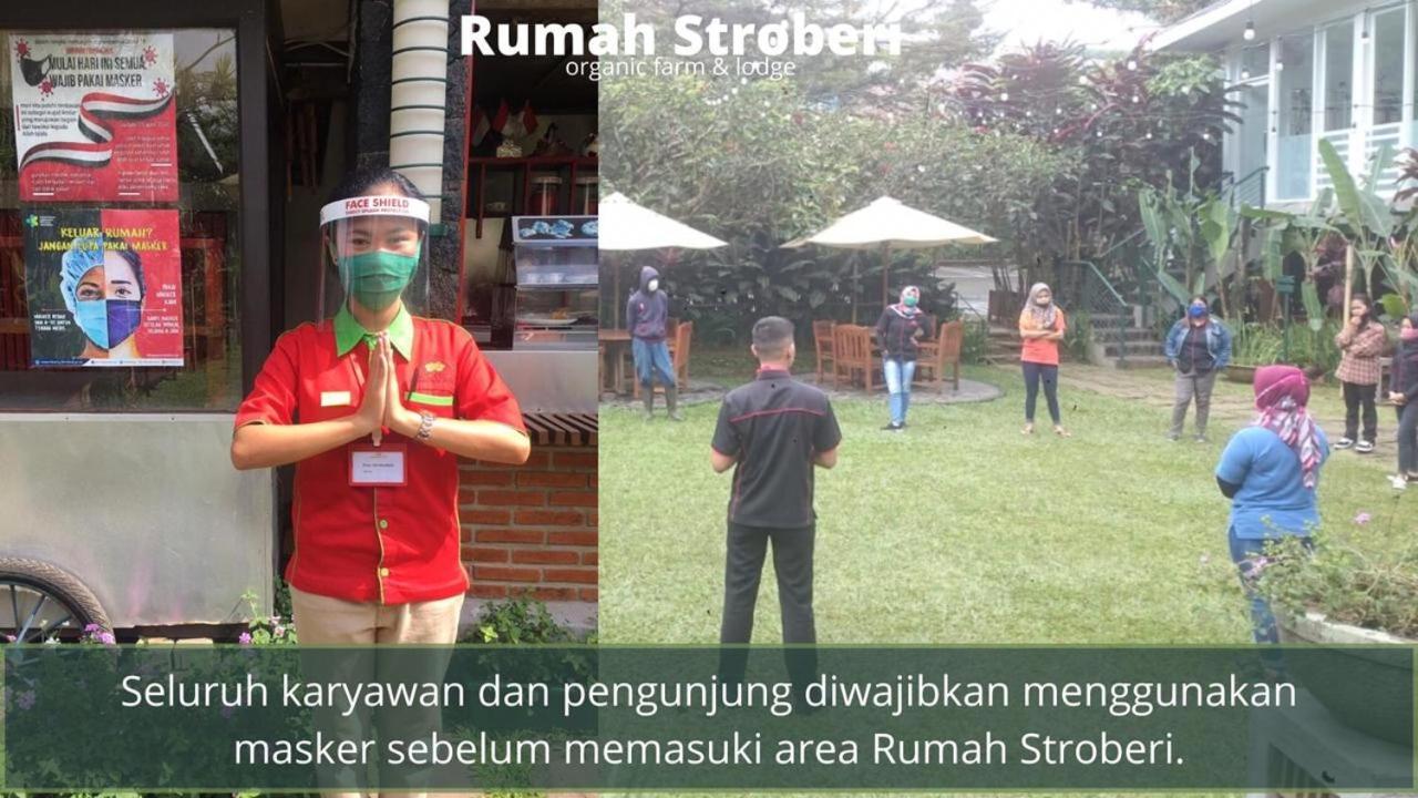 Rumah Stroberi Organic Farm & Family Lodge Lembang Eksteriør billede
