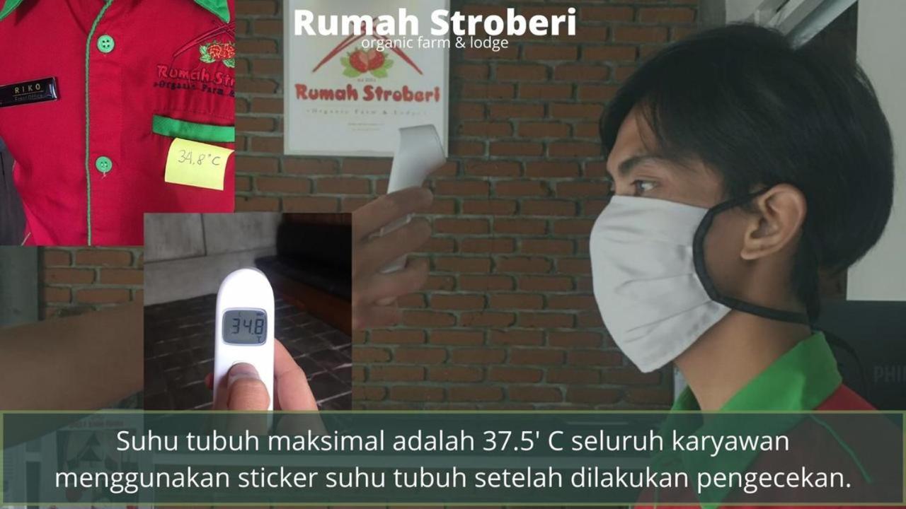 Rumah Stroberi Organic Farm & Family Lodge Lembang Eksteriør billede
